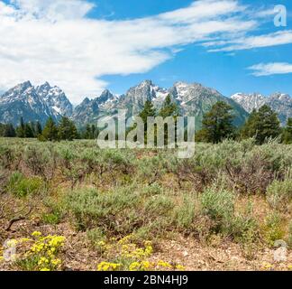 Parc national de Grand Teton, États-Unis. Partie de Rocky Mountain. Parc national de Grand Teton. Banque D'Images