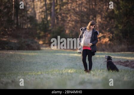 Jeune femme enceinte debout à l'extérieur dans un beau pré au bord de la forêt d'automne avec son chien noir la regardant avec toute l'attention et affec Banque D'Images