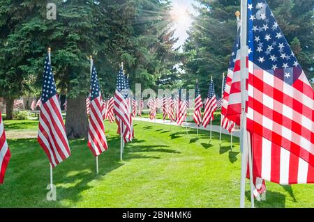 Grand groupe de drapeaux des États-Unis à l'extérieur dans le parc par une journée ensoleillée. Banque D'Images