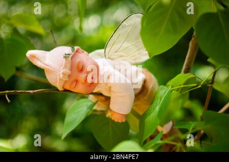 Jouet elf bébé dormant sur un arbre dans le jardin II Banque D'Images