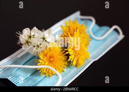 Fleurs printanières sur masque médical isolées sur fond de verre noir. Concept de protection contre l'allergie au pollen Banque D'Images