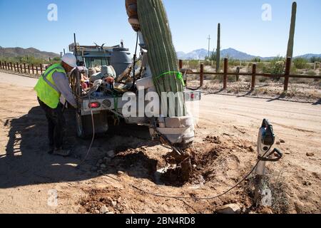 Le 7 octobre 2019, les travailleurs ont commencé à déménager plus de 100 cactus, dont 76 saguaros, au Organ Pipe National Monument dans le cadre de l'amélioration des infrastructures pour le nouveau projet de mur frontalier près de Lukeville, Arizona. Banque D'Images