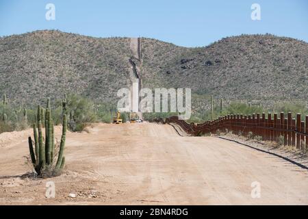Un cactus à pipe d'orgue étiqueté pour être relocagé sur la route frontalière à la frontière ouest de Lukeville, AZ. Plus de 100 cactus, dont 76 saguaros, ont été déplacés le 7 octobre 2019 dans le cadre du nouveau projet de mur frontalier et des améliorations d'infrastructure à la frontière près de Lukeville, en Arizona. Douanes et frontière américaines Banque D'Images