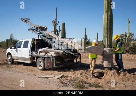 Dans le cadre du projet de mur frontalier près de Lukeville, Arizona, plus de 100 cactus, dont 76 saguaros, ont été déplacés par les travailleurs du monument national Organ Pipe le 7 octobre 2019, pour faciliter l'amélioration des infrastructures. Banque D'Images