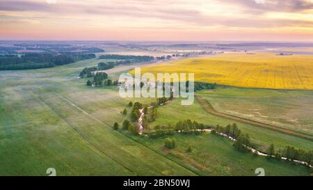 Printemps matin panorama rural aérien. Lever de soleil sur les champs de colza verts et jaunes fleuris. Nuages de brouillard et petite rivière avec arbres sur la rive. Bela Banque D'Images