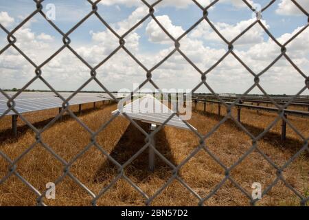 Austin, Texas USA, juin 2012: Tableau de panneaux solaires dans un projet solaire de Webberville près d'Austin. L'installation est un système photovoltaïque à courant continu (DC) de 35 mégawatts sur 380 acres et produira annuellement plus de 50 000 MWh d'énergie solaire sans émission, suffisamment pour alimenter 5000 foyers. ©Marjorie Kamys Cotera/Daemmrich Photographie Banque D'Images