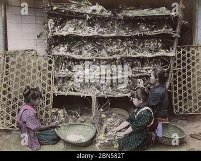 Enfants travaillant avec des vers de soie, Japon Banque D'Images