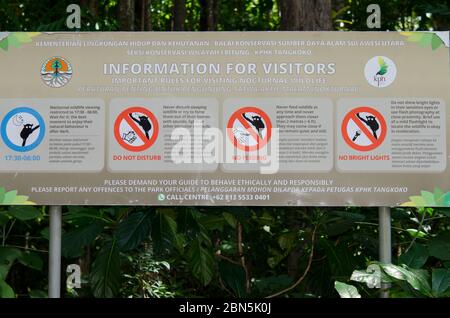 Panneau de signalisation concernant l'affichage des tarsiers spectrales, spectre de Tarsius, Parc national de Tangkoko, Sulawesi, Indonésie Banque D'Images