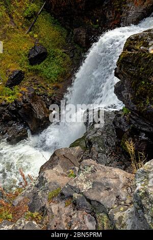 WY04288-00...WYOMING - Moose Falls sur Crawfish Creek dans le parc national de Yellowstone. Banque D'Images