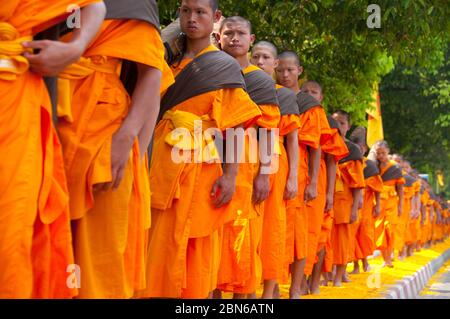 Thaïlande: Certains des 500 moines dhutanga traitant autour de la lande centrale de Chiang Mai sur un lit de pétales de fleurs. 9 avril 2014. Dhutanga (connu en Tha Banque D'Images