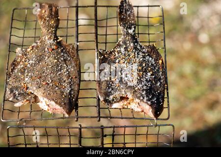 Flet de poisson grillé sur le gril portable. Cuisine à l'extérieur, dîner dans la nature. Banque D'Images