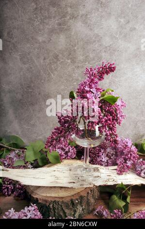 Un seul verre de vin rempli de lilas violets. Vase placé sur l'écorce de bouleau et une tranche de tronc d'arbre. Photo verticale avec espace de copie dans la partie supérieure. Banque D'Images