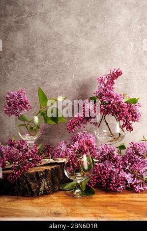 Bouquets de lilas violets dans des verres à vin. Fleurs contre mur en béton placées sur l'écorce et une tranche de tronc d'arbre sur une table en bois. Photo verticale avec c Banque D'Images