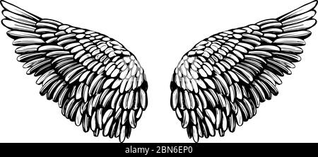 Angel Wings, Bird Wings collection dessin animé dessin main dessin vectoriel illustration esquisse. Illustration de Vecteur
