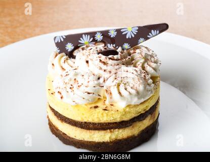 Tiramisu est un dessert italien aromatisé au café. Il est fait de ladyfings trempés dans le café, superposés avec un mélange fouetté d'oeufs, de sucre, et de mascarpe Banque D'Images