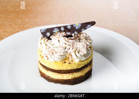 Tiramisu est un dessert italien aromatisé au café. Il est fait de ladyfings trempés dans le café, superposés avec un mélange fouetté d'oeufs, de sucre, et de mascarpe Banque D'Images