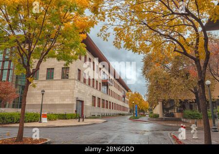 Campus de l'université de Stanford le jour des pluies automnales, Palo Alto, Californie, États-Unis. Banque D'Images