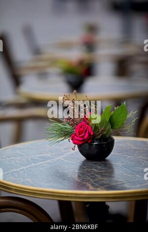 roses rouges avec feuilles en pot de fleurs en céramique sur les tables de restaurant Banque D'Images