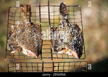 Flet de poisson grillé sur le gril portable. Cuisine à l'extérieur, dîner dans la nature Banque D'Images