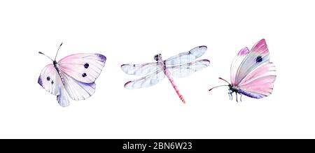 Ensemble aquarelle de libellules et de papillons blancs. Peinture d'insecte réaliste isolée sur blanc. Ailes détaillées et corps rose. Collection peinte à la main Banque D'Images