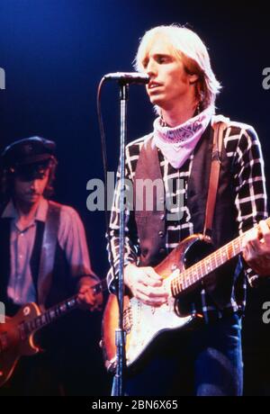 Tom Petty et The Heartbreakers, spielen vivent sur scène BEI 'Rockpop in concert', Deutschland 1983. Groupe américain Tom Petty et The Heartbreakers, Allemagne 1983. Banque D'Images