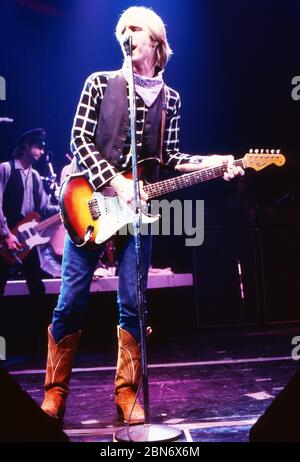 Tom Petty et The Heartbreakers, spielen vivent sur scène BEI 'Rockpop in concert', Deutschland 1983. Groupe américain Tom Petty et The Heartbreakers, Allemagne 1983. Banque D'Images