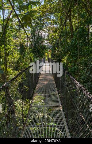 Les ponts suspendus d'Arenal, parc Mistoco, Costa Rica Banque D'Images