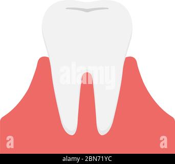 Illustration simple à vecteur plat de dent (pas de texte) Illustration de Vecteur