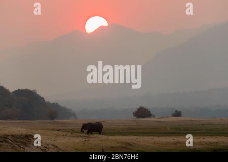 Coucher de soleil sur la rive du Zambèze pendant la saison d'essai, Zimbabwe Banque D'Images