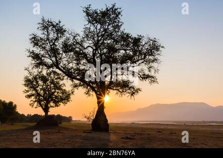 Coucher de soleil sur la rive du Zambèze pendant la saison d'essai, Zimbabwe Banque D'Images