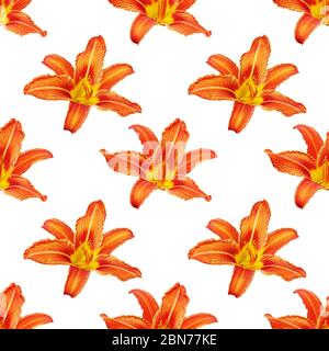 Motif sans couture orange lys fleur blanc fond isolé, pétales rouges et jaunes lilly répétition ornement, texture couleur dayly, motif lys Banque D'Images