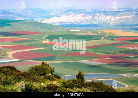 Le mont Gilboa point d'observation avec une vue sur la vallée de Jezreel Banque D'Images
