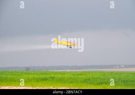 Dépoussiérage de récolte. Un plan vaporise un insecticide sur un champ. Photographié dans le désert du Nord du Néguev, Israël Banque D'Images