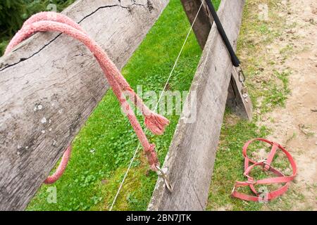 Chevaux Halter sur le sol et corde au-dessus de la clôture Banque D'Images