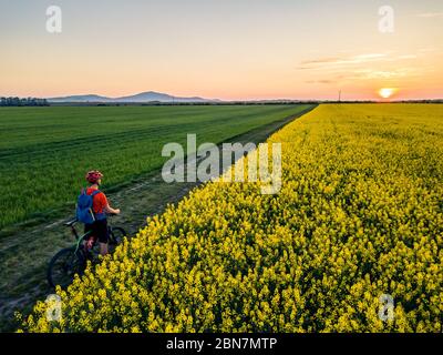 Homme à vélo tout-terrain sur la route de campagne. Vue sur le coucher du soleil entre les champs de colza jaunes. Cycliste avec casque et sac à dos, paysage inspirant Banque D'Images