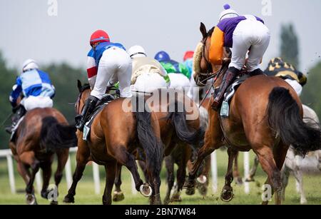 Dispositif, foule, champ en action, photographié de derrière, course de chevaux, jour de course à l'hippodrome de Raffelberg, le 9 mai 2020 à Muelheim an der Ruhr / Allemagne. Â | utilisation dans le monde entier Banque D'Images