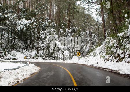 Route australienne venteuse dans la neige Banque D'Images