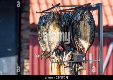 Poisson frais fumé et sec au maquereau épicé sur un marché aux poissons Banque D'Images