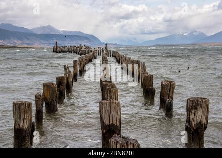 Poteaux en bois d'un ancien quai, Puerto Natales, Patagonie, Chili, Cerro Monumento Moore en arrière-plan. Banque D'Images