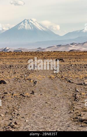 Volcan Lascar vu depuis le sentier Inca, désert d'Atacama, Chili Banque D'Images