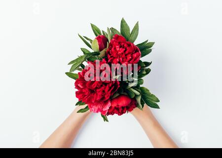 Mains de femme tenant le bouquet de fleurs de pivoine rose luxuriante sur fond blanc, couché plat. Banque D'Images