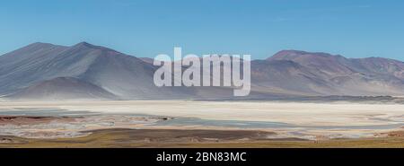 Panorama sur les salines de Salar vers Caichinque Banque D'Images