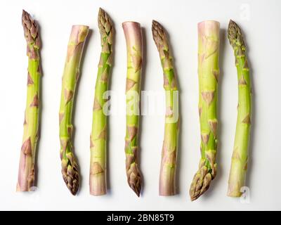 Sept épis d'asperges alignés alternativement sur un fond blanc Banque D'Images