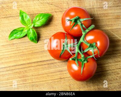 Quatre tomates rouges mûres sur la vigne et une branche de basilic sur une planche à découper en bois avec espace pour copier Banque D'Images