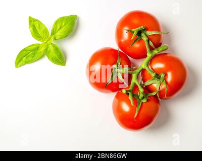 Quatre tomates rouges mûres sur la vigne avec une branche de basilic sur un bacille blanc avec espace de copie Banque D'Images