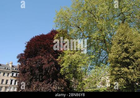 Place St Jame, Bath, Angleterre Banque D'Images