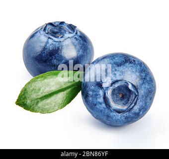 Deux bleuets avec feuille de bleuet isolée sur fond blanc. Banque D'Images