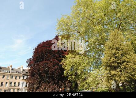 Place St Jame, Bath, Angleterre Banque D'Images