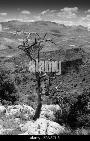 Images en noir et blanc de la campagne d'Axarquia autour de Comares, Axarquia, Malaga, Andalousie, Costa del sol, Espagne, Europe Banque D'Images