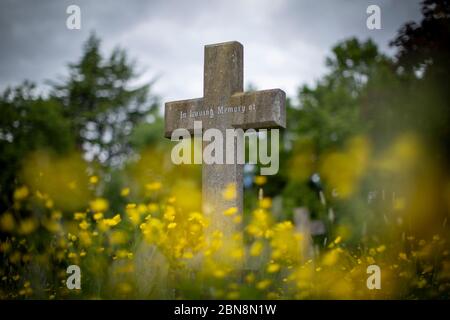 West Norwood, Royaume-Uni. 13 mai 2020. Une vieille tombe croisée avec la gravure « In Loving Memory of » au West Norwood Cemetery, dans le sud de Londres, en Angleterre. Le cimetière de West Norwood est un cimetière rural de 40 hectares situé à West Norwood, à Londres, en Angleterre. Il était également connu sous le nom de cimetière métropolitain du Sud. Le cimetière contient 52 tombes de guerre du Commonwealth de la Seconde Guerre mondiale et 136 de la première Guerre mondiale (photo de Sam Mellish / Alamy Live News) Banque D'Images